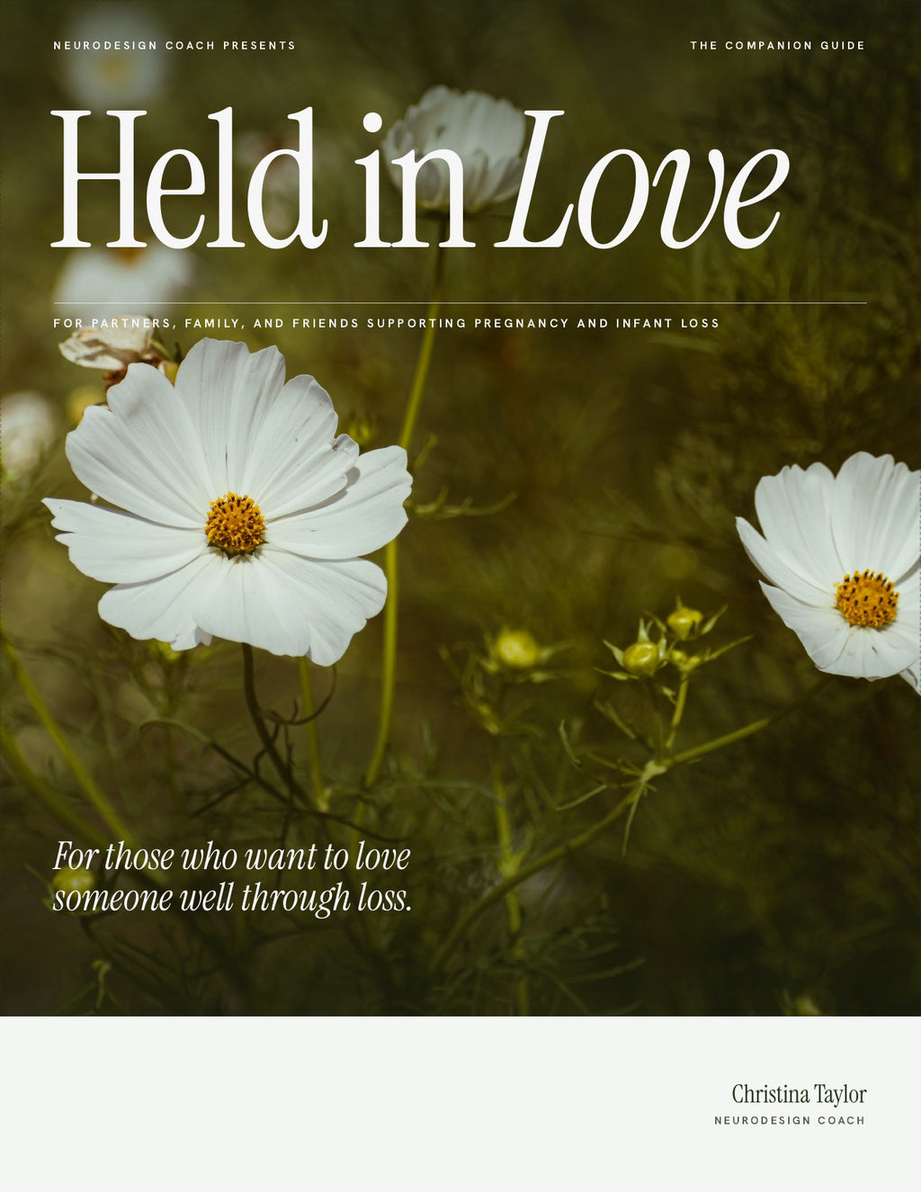 Held in Love Companion Guide cover