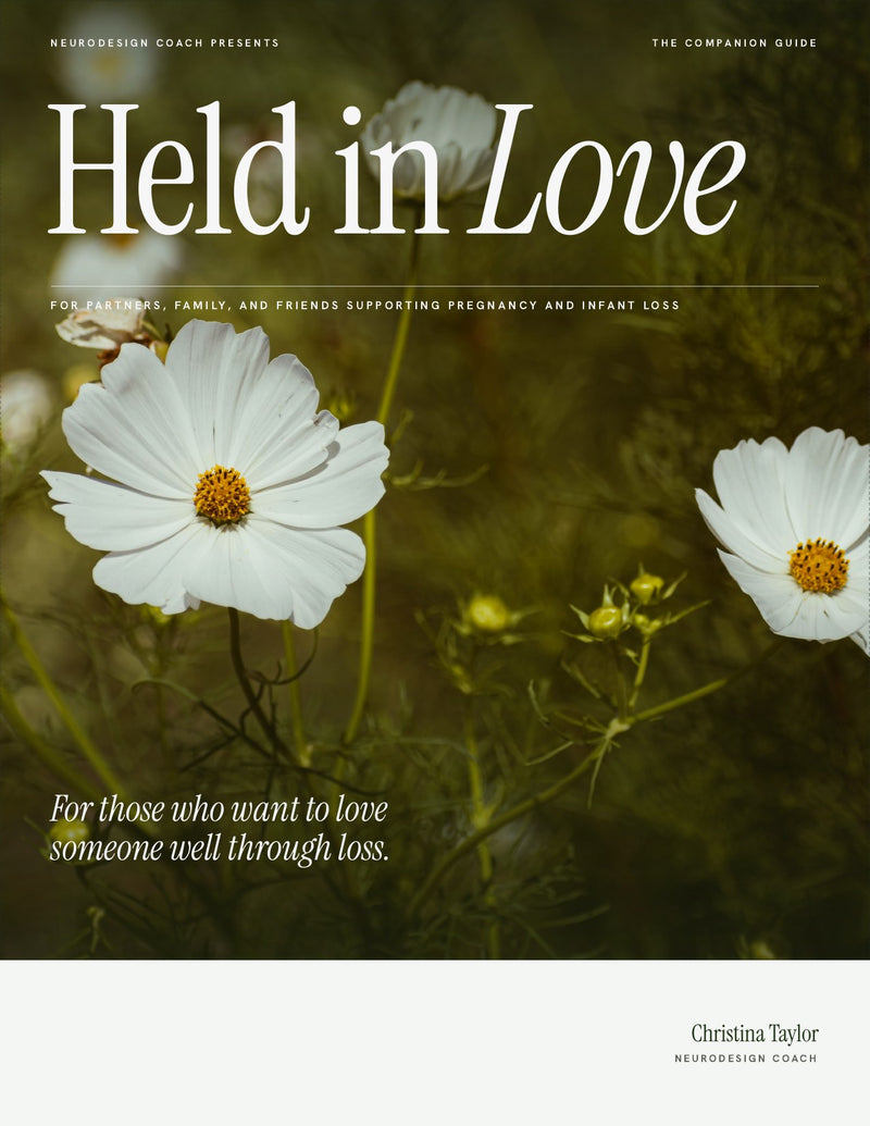 Held in Love Companion Guide cover