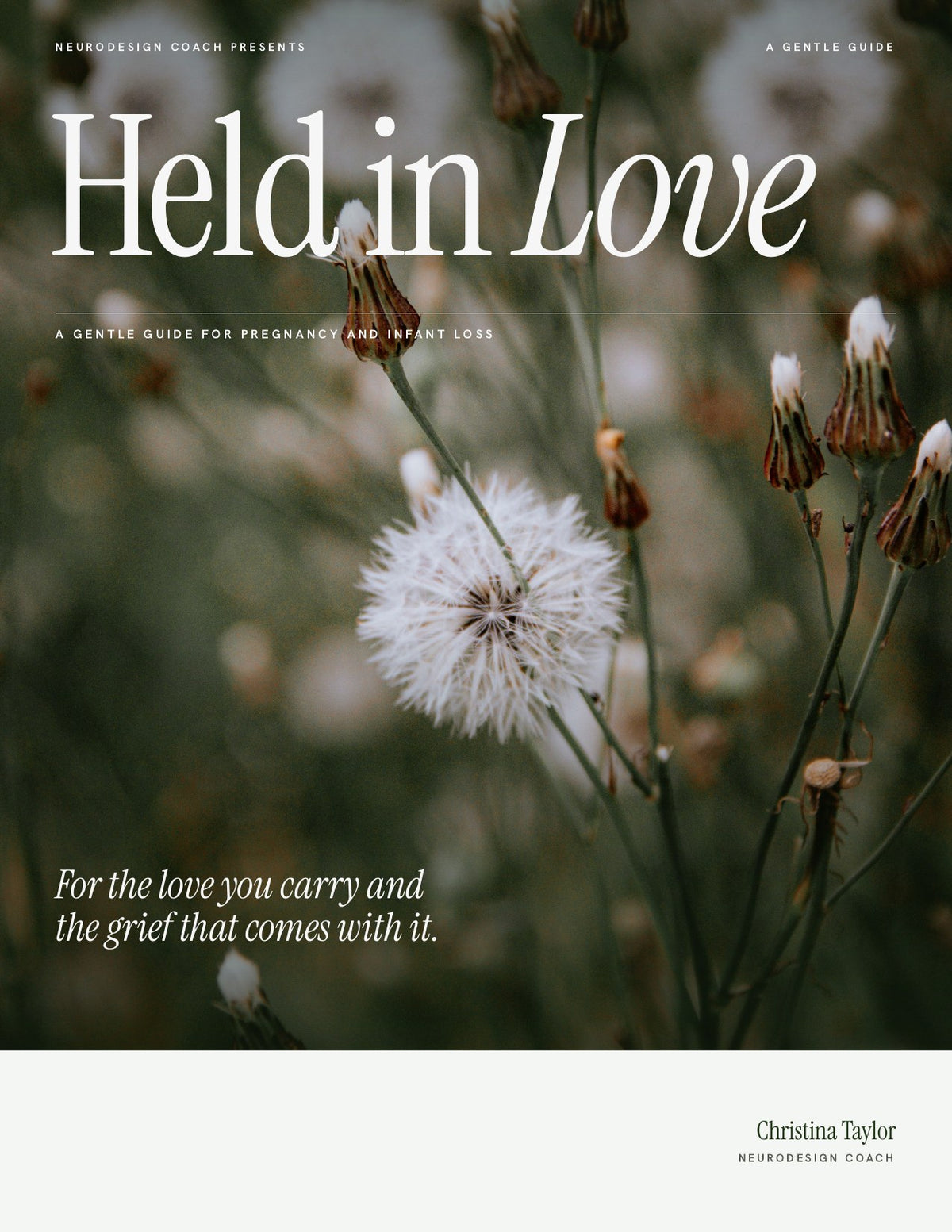 Held in Love guide cover
