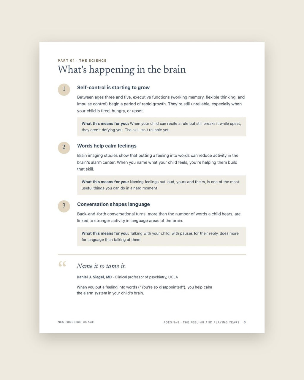 Look inside: What's happening in your preschooler's brain