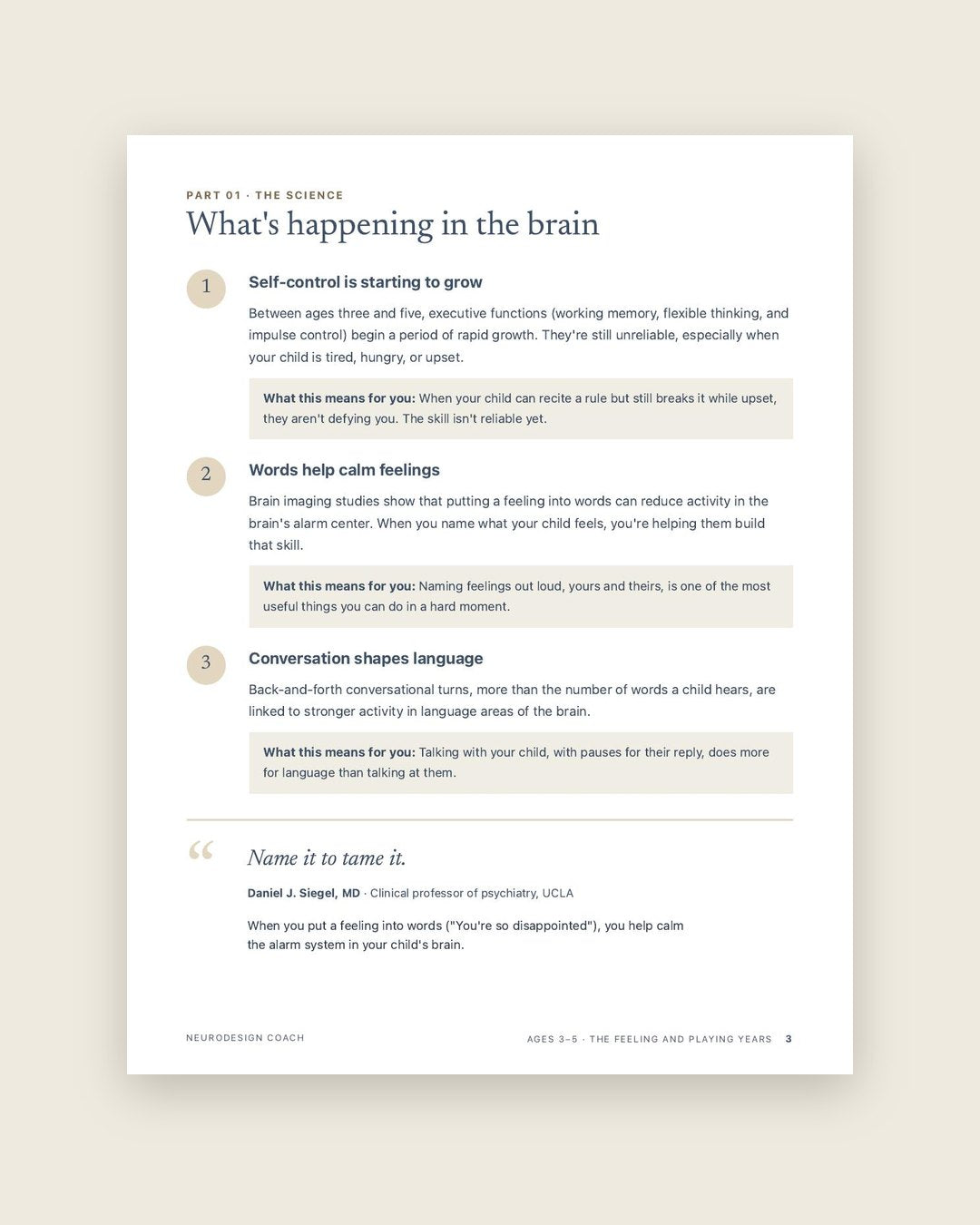 Look inside: What's happening in your preschooler's brain