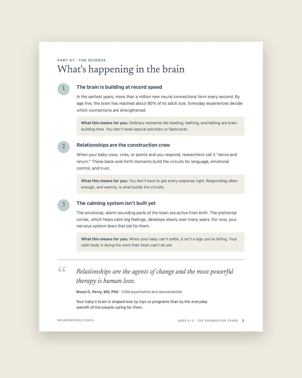 Look inside: Ages 0–2: what's happening in the brain